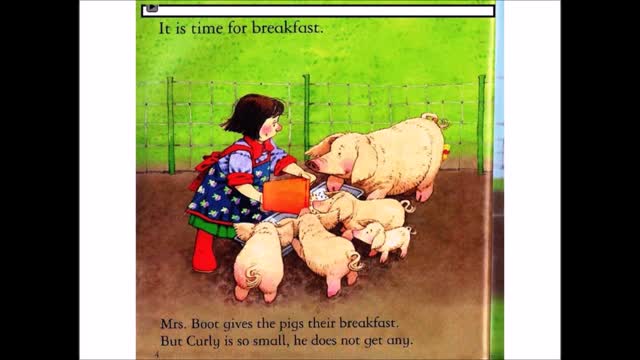 PIG GETS STUCK
