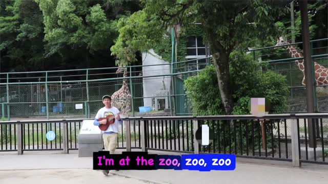 At The Zoo