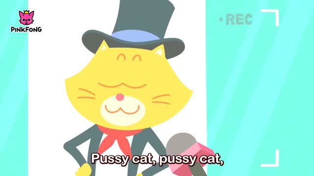 Pussy Cat